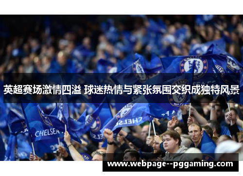 英超赛场激情四溢 球迷热情与紧张氛围交织成独特风景