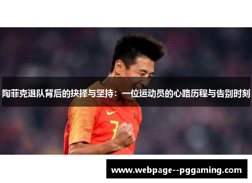 陶菲克退队背后的抉择与坚持：一位运动员的心路历程与告别时刻