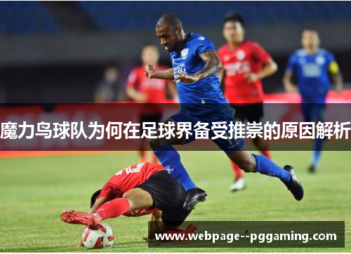 魔力鸟球队为何在足球界备受推崇的原因解析